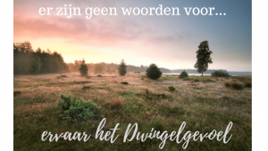 Vakantiehuis Nationaal Park 't Dwingelderveld Drenthe